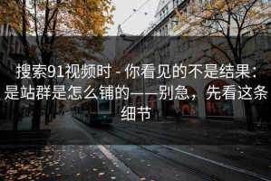 搜索91视频时 - 你看见的不是结果：是站群是怎么铺的——别急，先看这条细节