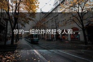 惊的一细的炸然赶令人观，。