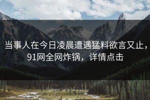 当事人在今日凌晨遭遇猛料欲言又止，91网全网炸锅，详情点击