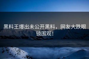 黑料王爆出未公开黑料，网友大跌眼镜围观！