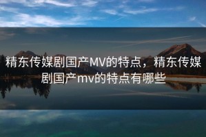精东传媒剧国产MV的特点，精东传媒剧国产mv的特点有哪些