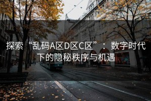 探索“乱码A区D区C区”：数字时代下的隐秘秩序与机遇