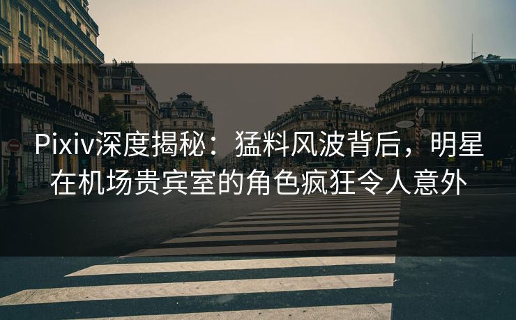 Pixiv深度揭秘：猛料风波背后，明星在机场贵宾室的角色疯狂令人意外
