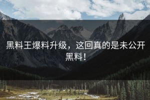 黑料王爆料升级，这回真的是未公开黑料！