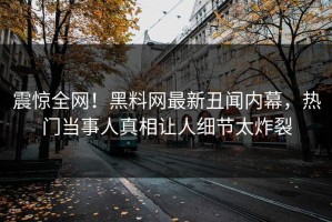 震惊全网！黑料网最新丑闻内幕，热门当事人真相让人细节太炸裂