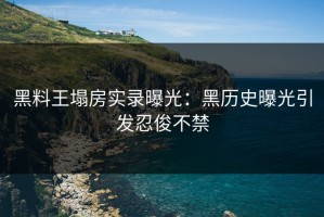黑料王塌房实录曝光：黑历史曝光引发忍俊不禁