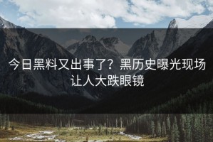 今日黑料又出事了？黑历史曝光现场让人大跌眼镜
