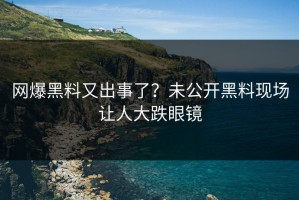 网爆黑料又出事了？未公开黑料现场让人大跌眼镜