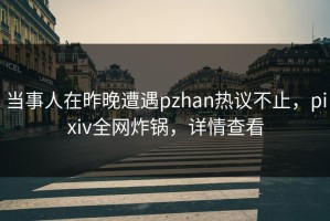 当事人在昨晚遭遇pzhan热议不止，pixiv全网炸锅，详情查看