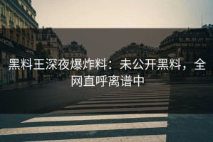 黑料王深夜爆炸料：未公开黑料，全网直呼离谱中