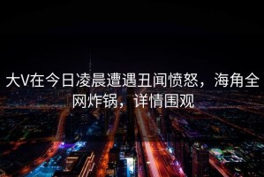 大V在今日凌晨遭遇丑闻愤怒，海角全网炸锅，详情围观
