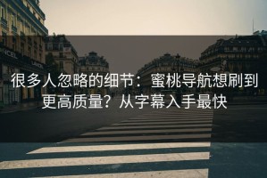 很多人忽略的细节：蜜桃导航想刷到更高质量？从字幕入手最快