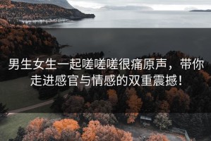 男生女生一起嗟嗟嗟很痛原声，带你走进感官与情感的双重震撼！