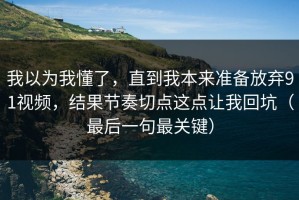 我以为我懂了，直到我本来准备放弃91视频，结果节奏切点这点让我回坑（最后一句最关键）