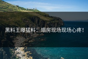 黑料王曝猛料：塌房现场现场心疼！