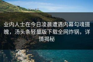 业内人士在今日凌晨遭遇内幕勾魂摄魄，汤头条轻量版下载全网炸锅，详情揭秘
