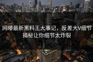 网曝最新黑料王大事记，反差大V细节揭秘让你细节太炸裂