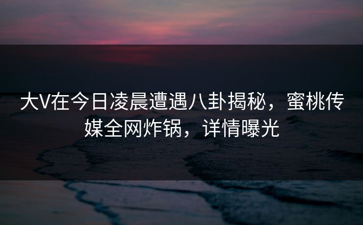 大V在今日凌晨遭遇八卦揭秘，蜜桃传媒全网炸锅，详情曝光
