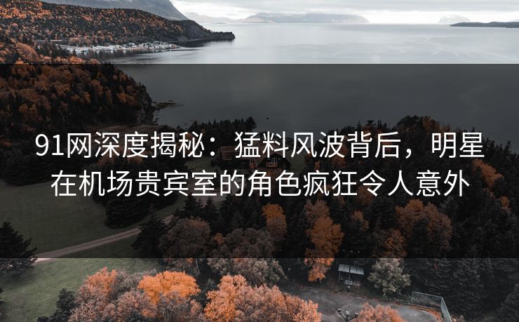 91网深度揭秘：猛料风波背后，明星在机场贵宾室的角色疯狂令人意外
