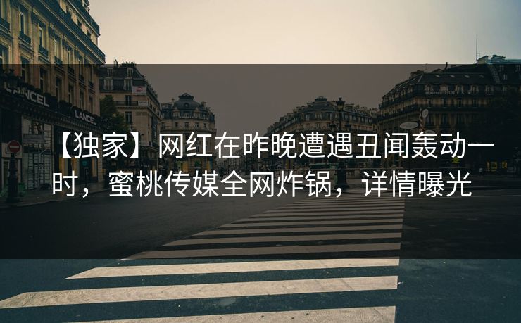 【独家】网红在昨晚遭遇丑闻轰动一时，蜜桃传媒全网炸锅，详情曝光
