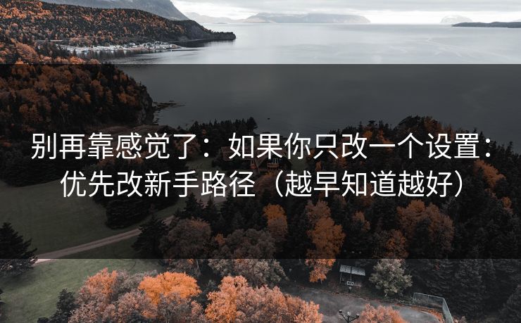 别再靠感觉了：如果你只改一个设置：优先改新手路径（越早知道越好）